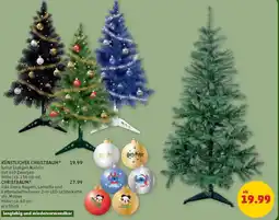 PENNY Christbaum Angebot