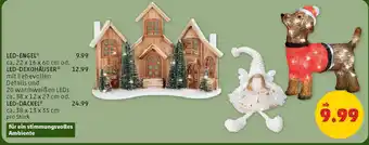 PENNY Led dackel Angebot