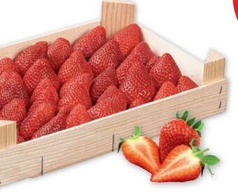 PENNY Premium Erdbeeren Angebot