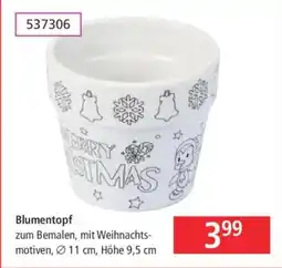 Libro Blumentopf Angebot