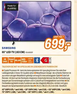 Expert 65" LED-TV Angebot