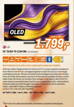 Expert 55" OLED-TV Angebot