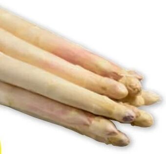 PENNY Spargel Angebot