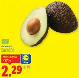 Lidl Bio Avocado Angebot