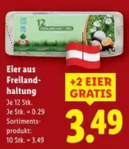 Lidl Eier aus Freiland- haltung Angebot