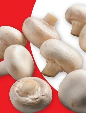 PENNY Champignons Angebot