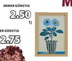 JYSK Bilderrahmen Angebot