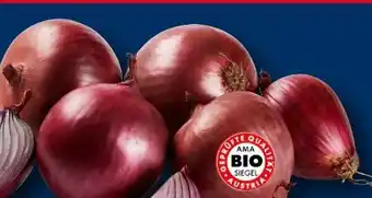 Lidl Bio-Zwiebel Angebot