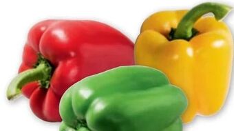 PENNY Paprika Tricolore Angebot