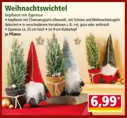 Norma Weihnachtswichtel Angebot