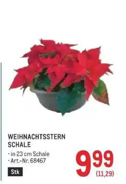 Metro WEIHNACHTSSTERN SCHALE Angebot