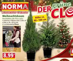 Norma Weihnachtsbaum Angebot