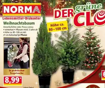 Norma Weihnachtsbaum Angebot