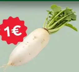 MPreis Rettich Angebot