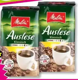 Norma Melitta Auslese Angebot