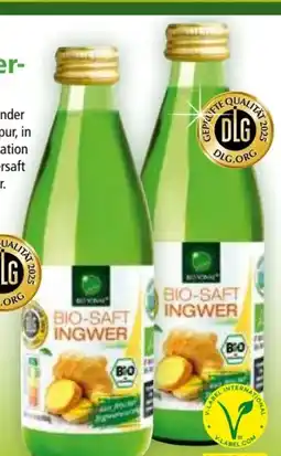 Norma Bio Sonne Ingwersaft Angebot