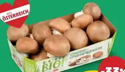 PENNY Echt Bio Creme-Champignons Angebot