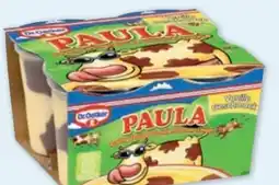 PENNY Dr. Oetker Paula Pudding Angebot