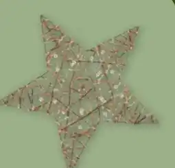 PENNY LED-Dekostern Angebot