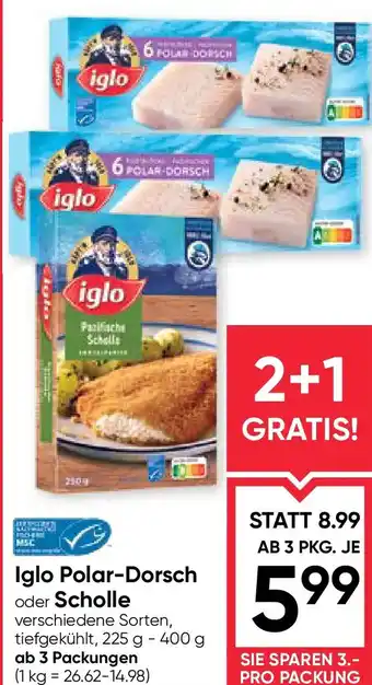 Iglo polar-dorsch