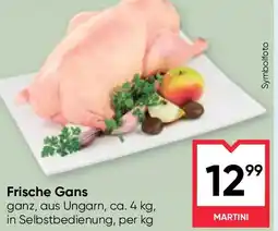 Maximarkt Frische Gans Angebot