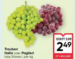 Maximarkt Trauben Angebot