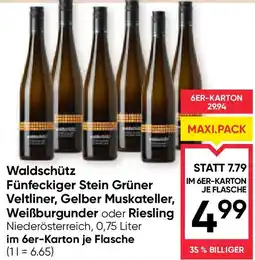 Maximarkt Waldschütz Angebot