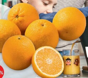 PENNY Orangen Angebot