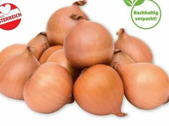 PENNY Zwiebeln Angebot