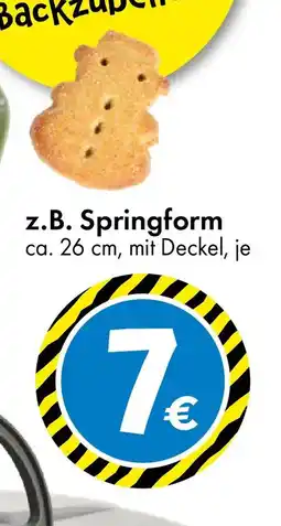 TEDi z.B. Springform Angebot
