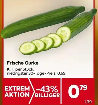 Frische Gurke