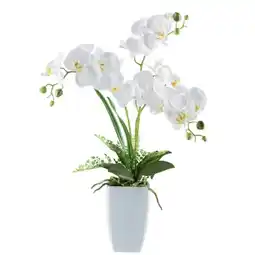 Möbelix Kunstpflanze „PHALAENOPSIS“ 42973503 Möbelix Angebot