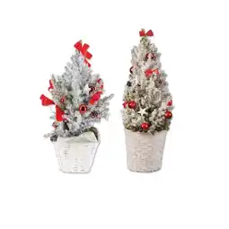 Lidl Weihnachtlich dekorierte Zuckerhutfichte Verschiedene Dekorationen Lidl Angebot