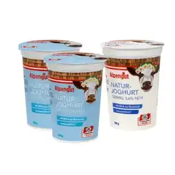 Lidl Naturjoghurt versch. Sorten Lidl Angebot