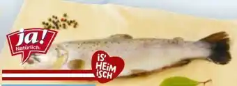 Billa ja!natürlich Bio-Bachforelle Angebot