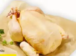 Billa Hofstädter Fair zum Tier! Mehrwohl Hendl Angebot