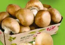 Billa ja!natürlich Bio Cremechampignons Angebot