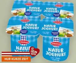 Billa Schärdinger Naturjoghurt Angebot