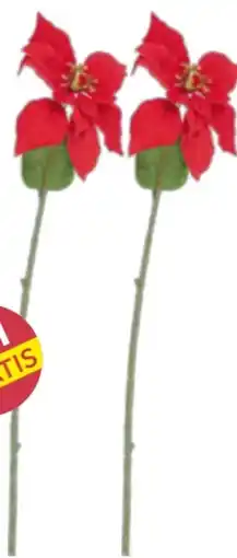 Möbelix Luca Bessoni Kunstblumen Poinsettia Angebot