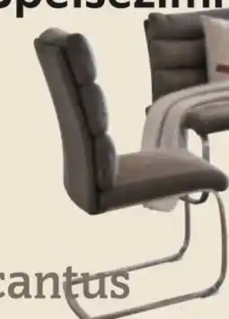 XXXLutz Cantus Schwingstuhl Angebot