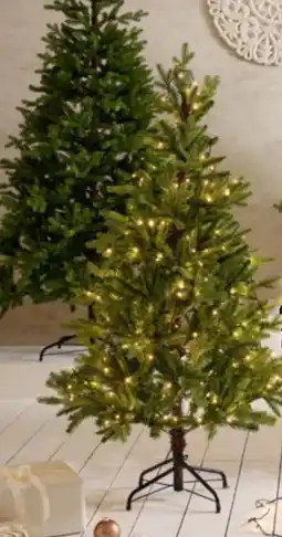 XXXLutz Weihnachtsbaum Angebot