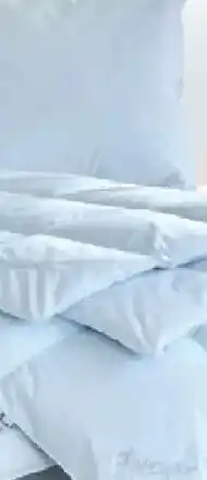 Matratzen Concord Künsemüller Labrador 4x6 Daunendecke Angebot