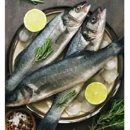 Hofer Wolfsbarsch HOFER Angebot