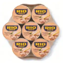 Hofer Thunfisch in Olivenöl HOFER Angebot