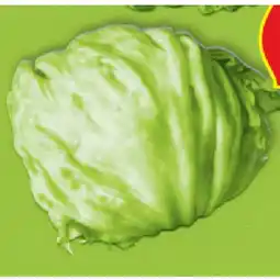 Hofer Eisbergsalat HOFER Angebot