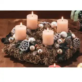 Hofer Graumooskranz sahara HOFER Angebot