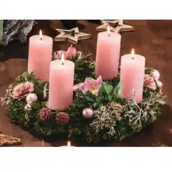 Hofer Nordmannkranz antikrosa HOFER Angebot