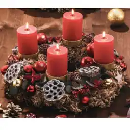 Hofer Graumooskranz rubin HOFER Angebot