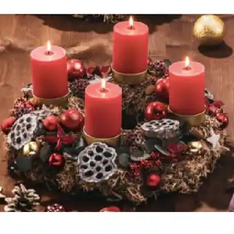 Hofer Graumooskranz rubin HOFER Angebot