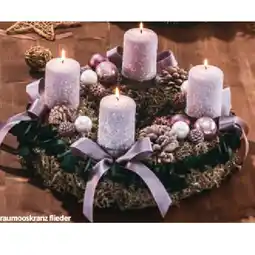 Hofer Graumooskranz flieder HOFER Angebot